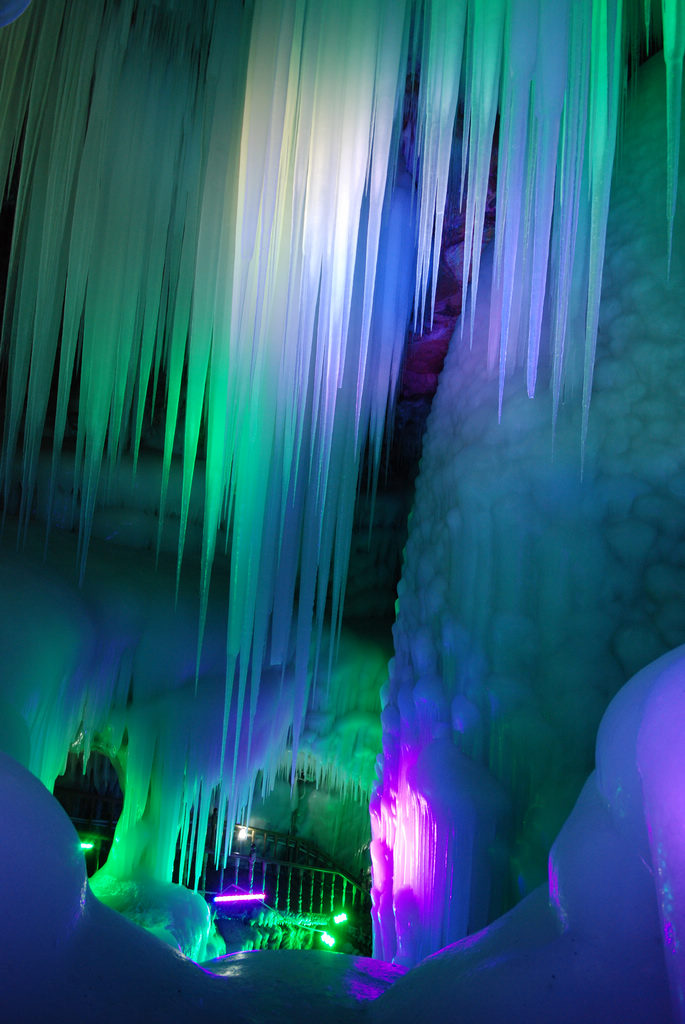 DSC_0320.jpg