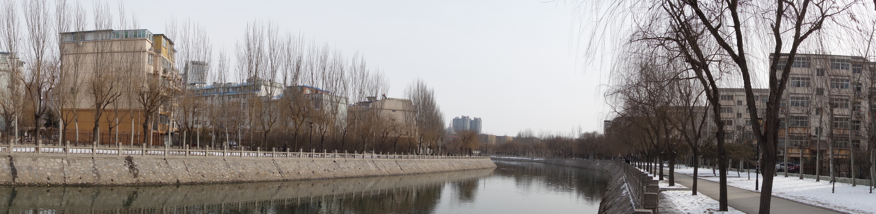 DSC-111.jpg
