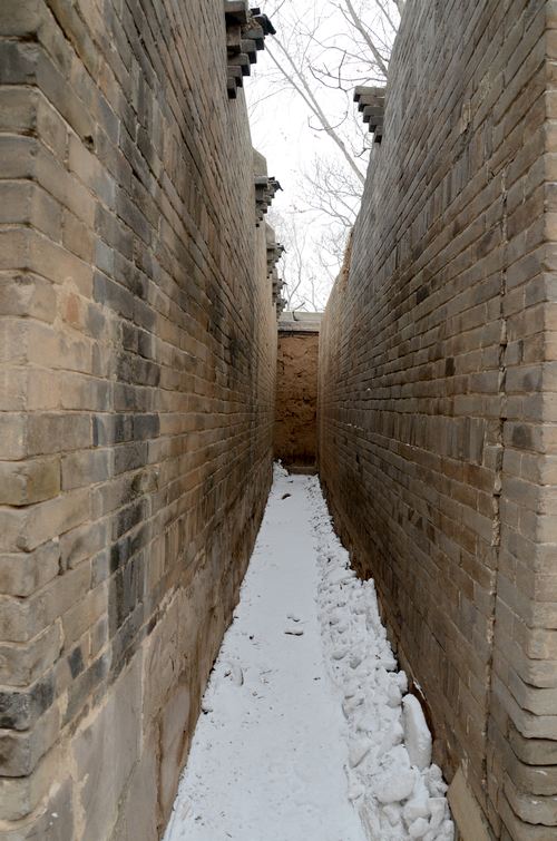 DSC_1179.JPG