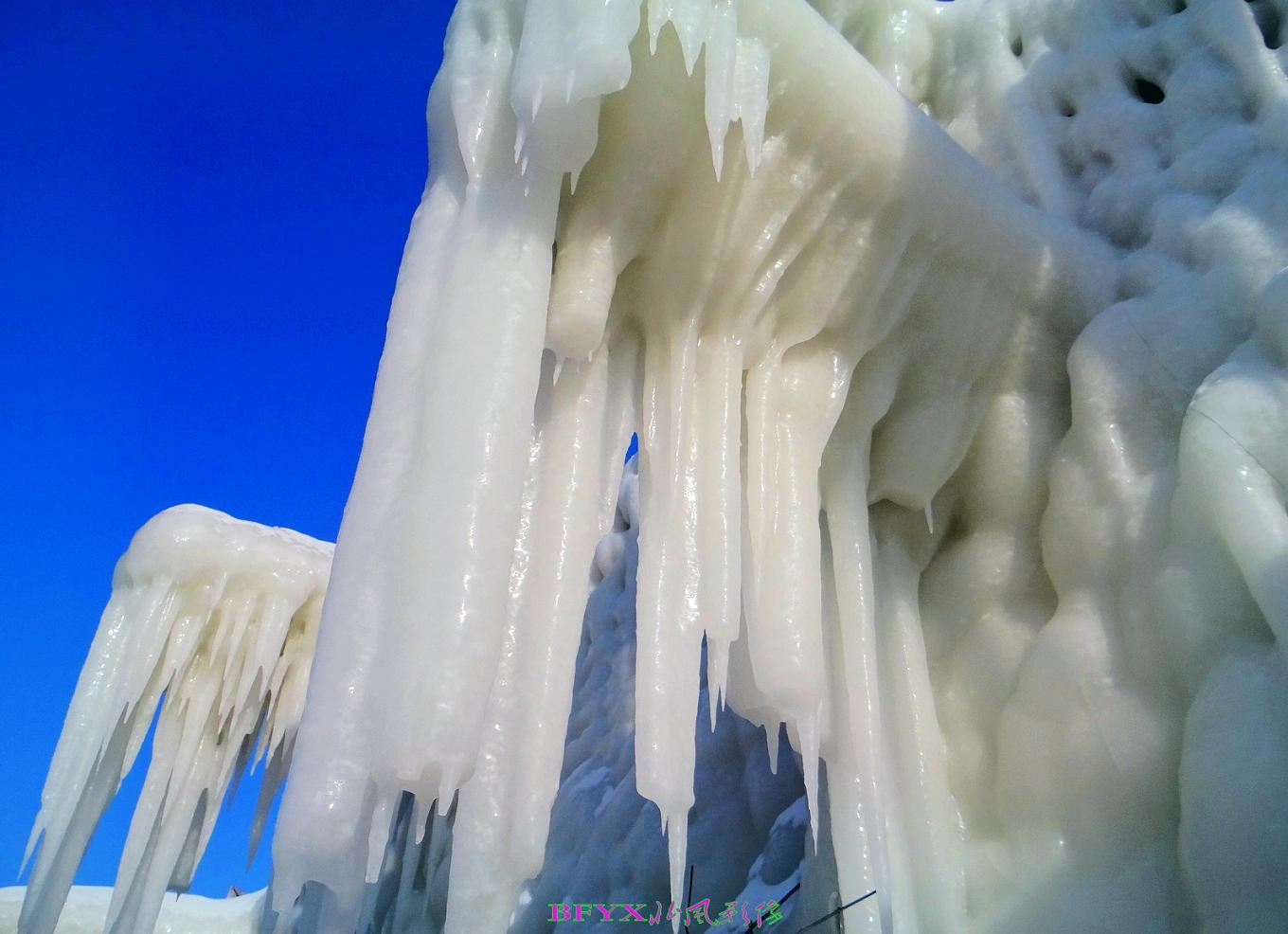 DSC02084_conew1.jpg