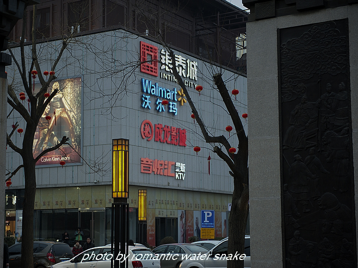DSC_8824.jpg
