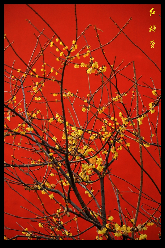 ÷`1111.jpg