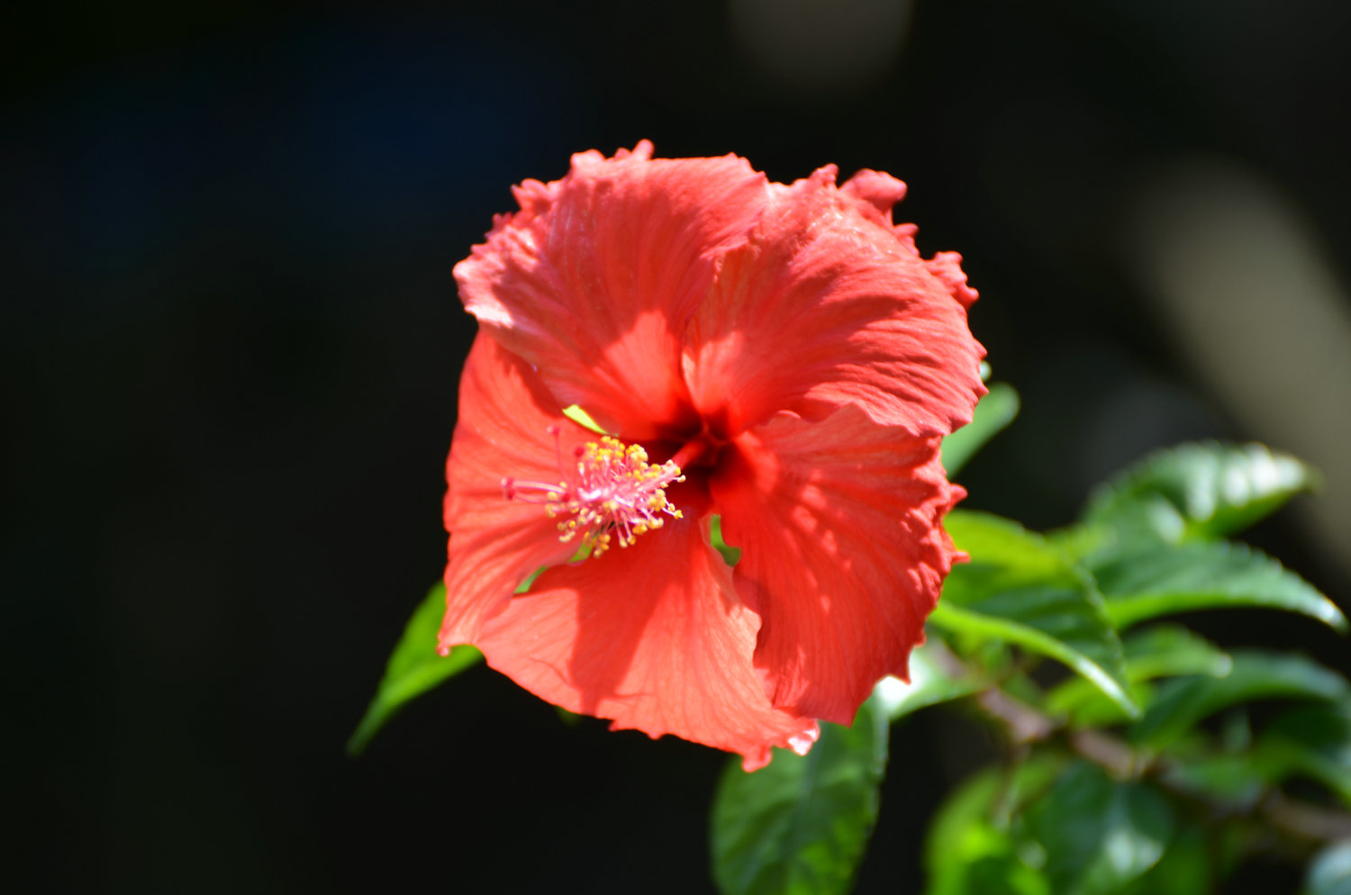 DSC_6859_.JPG