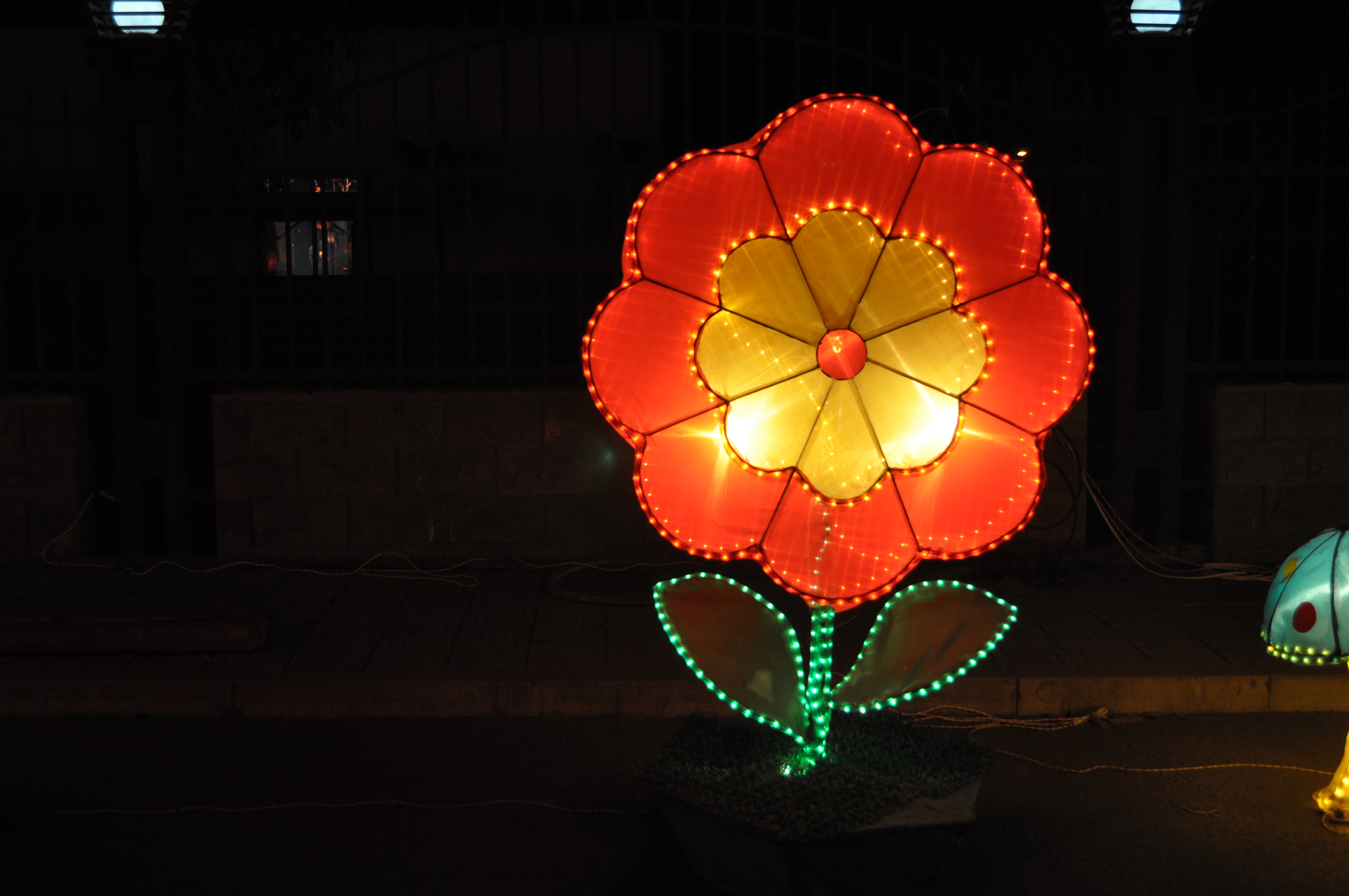 DSC_0068.JPG
