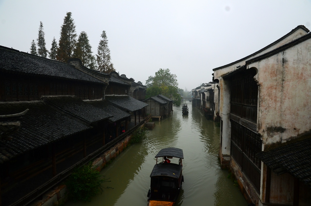 DSC_1154.jpg