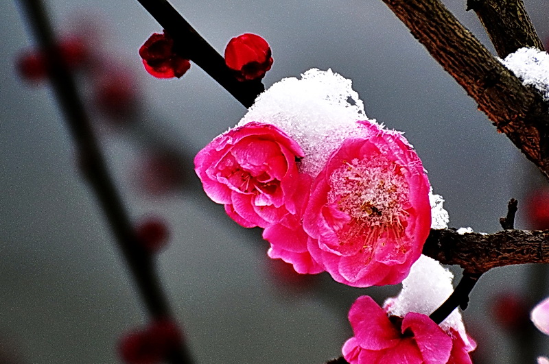 DSC_0159A.jpg