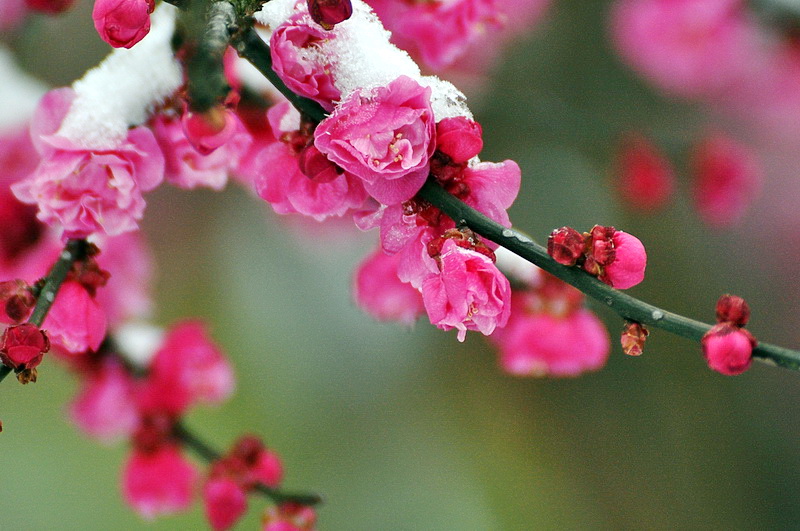 DSC_0166AA.jpg