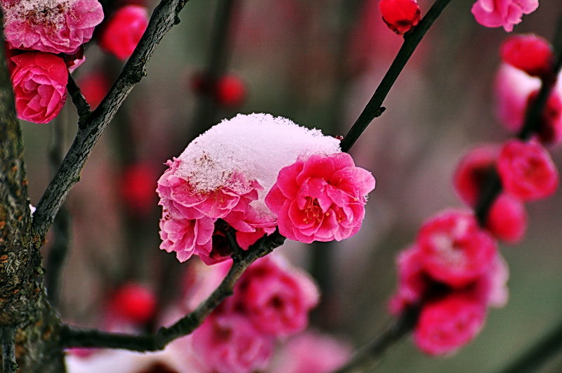 DSC_0181A.jpg
