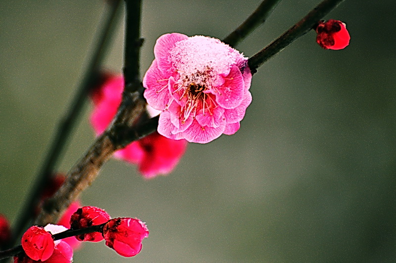 DSC_0189A.jpg