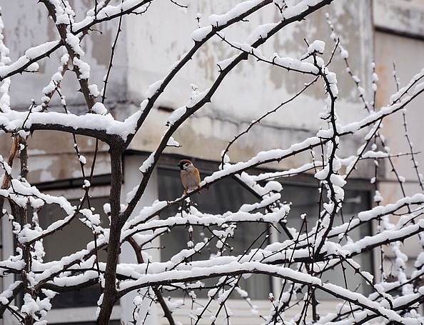 DSC_0002.JPG