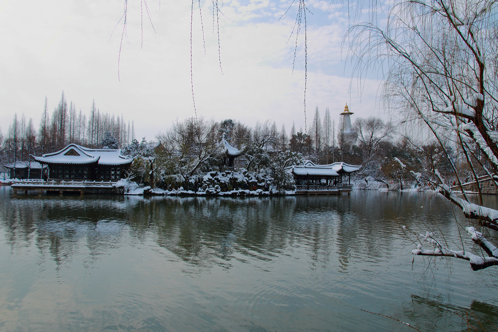 DPP_0043_.jpg