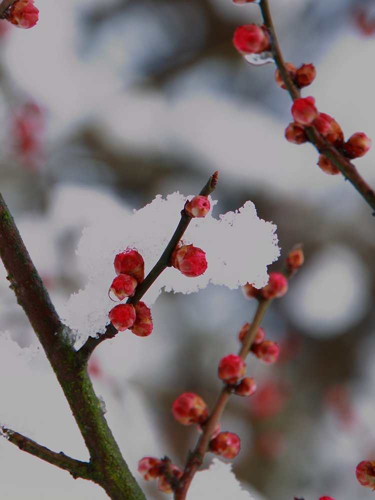 DPP_0021_.jpg