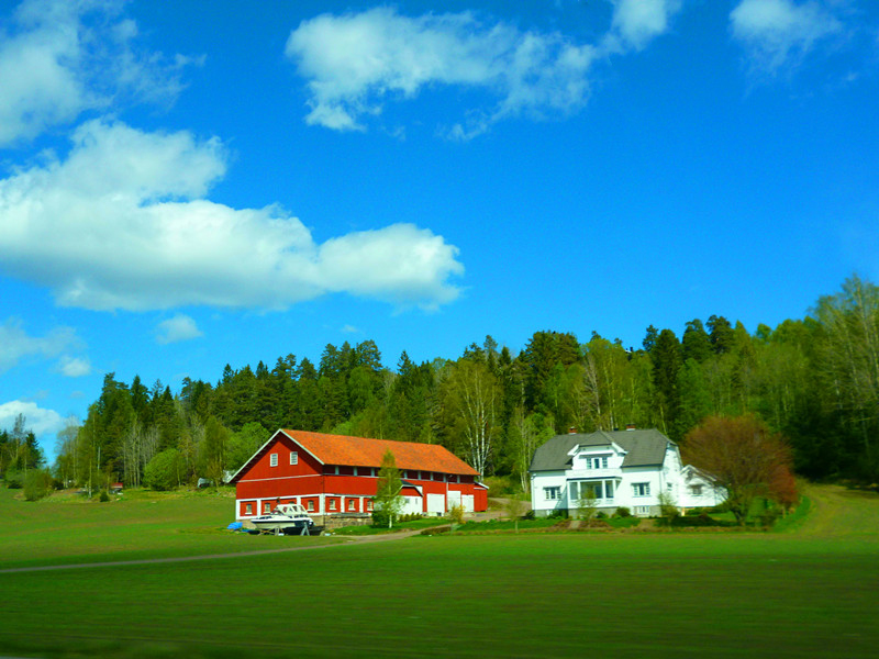 P1010234_.jpg