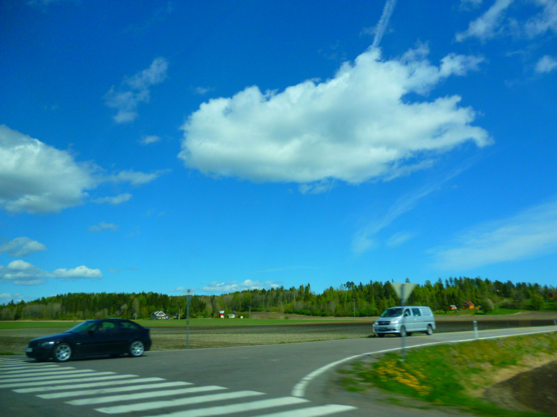 P1010244_.jpg