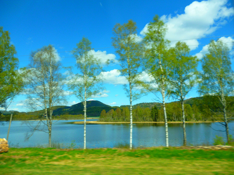 P1010280_.jpg