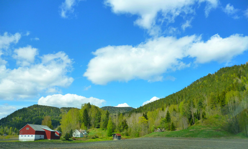 P1010300_.jpg