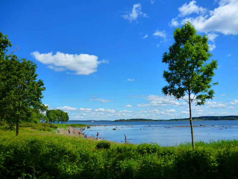P1010733_.jpg