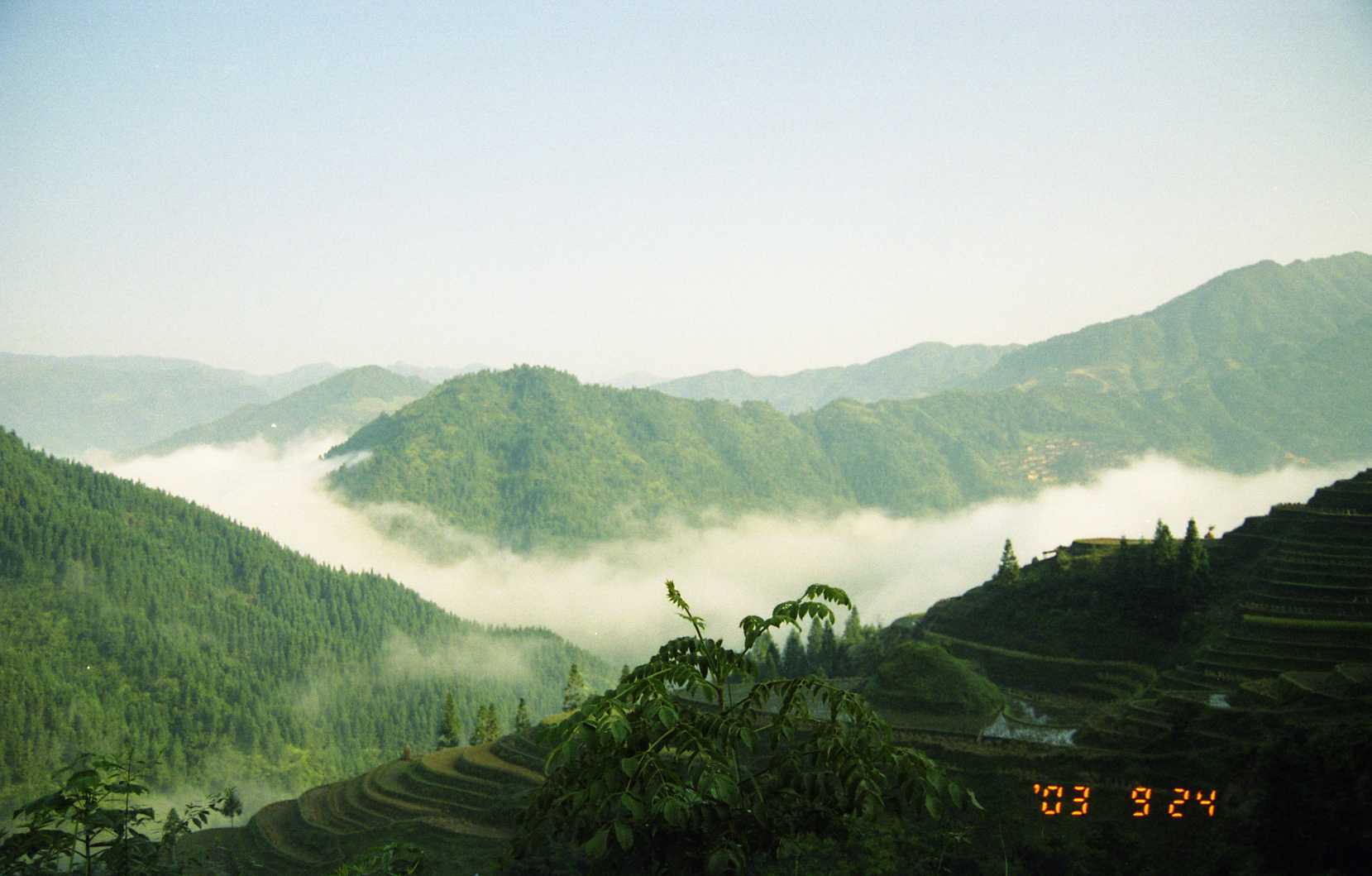img143.jpg