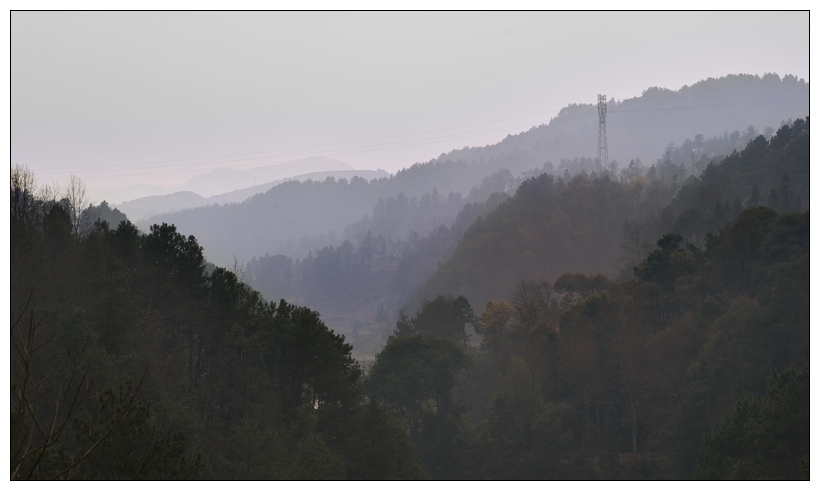 DSC _4037.jpg