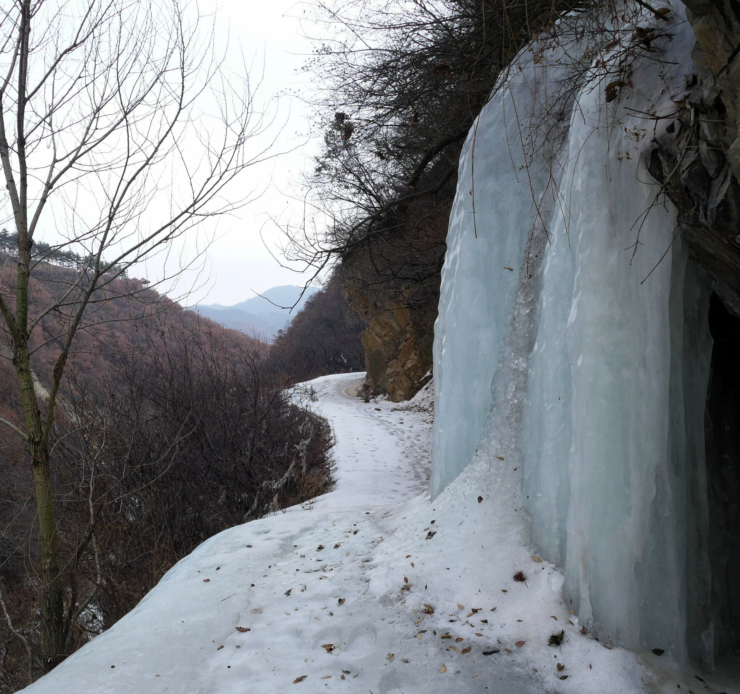 L1050837.jpg