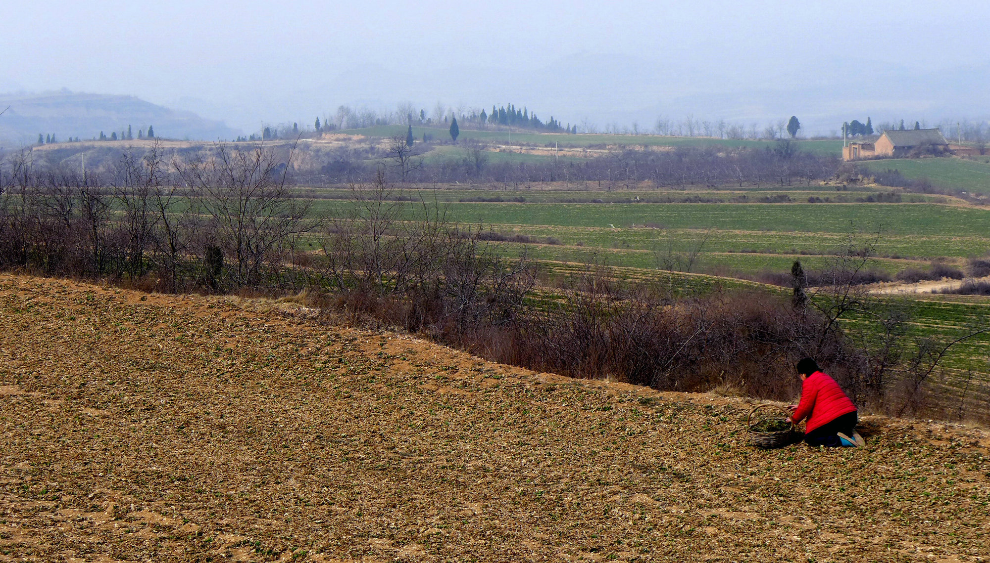 L1050853.jpg