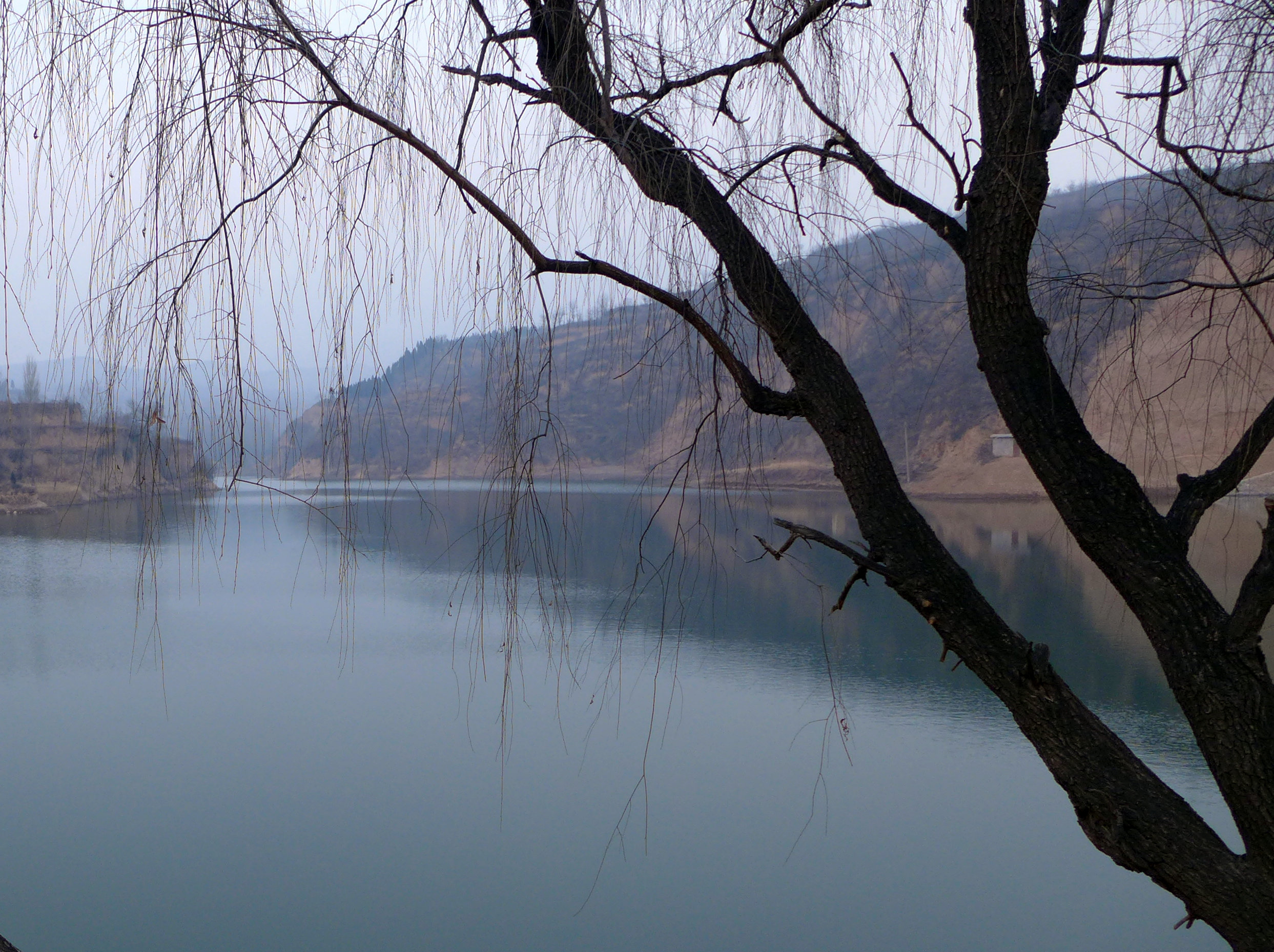 L1060053.JPG