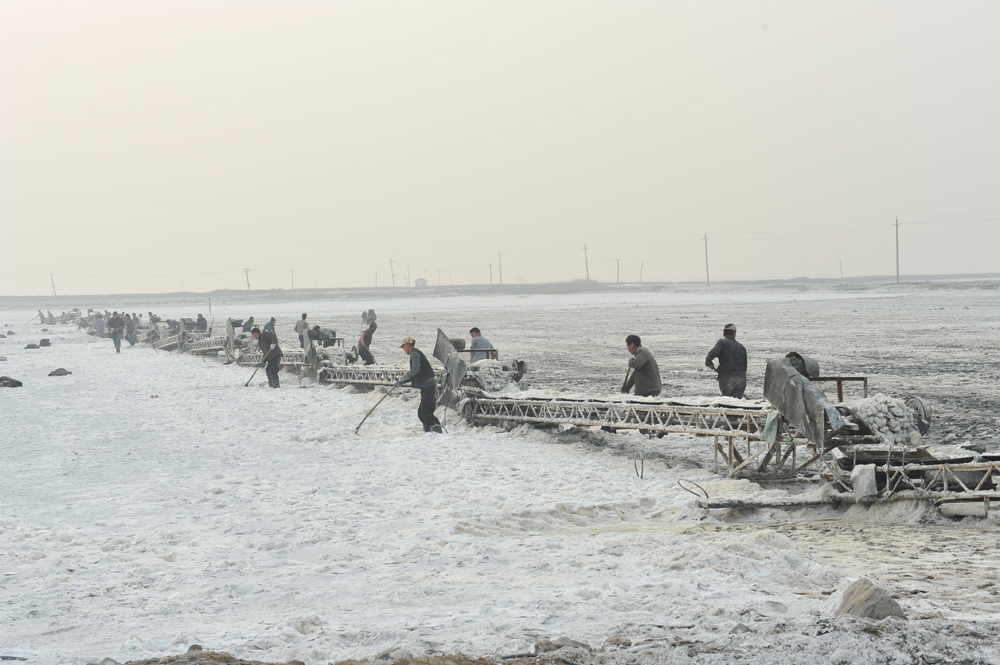DSC_9172.JPG