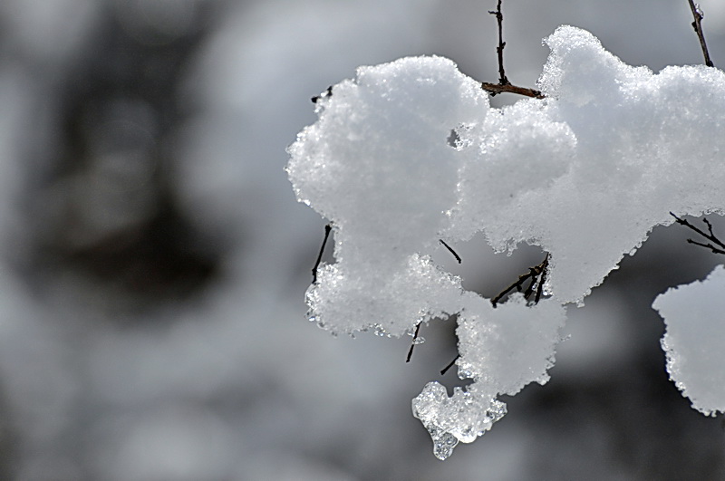 DSC_0345AA.jpg