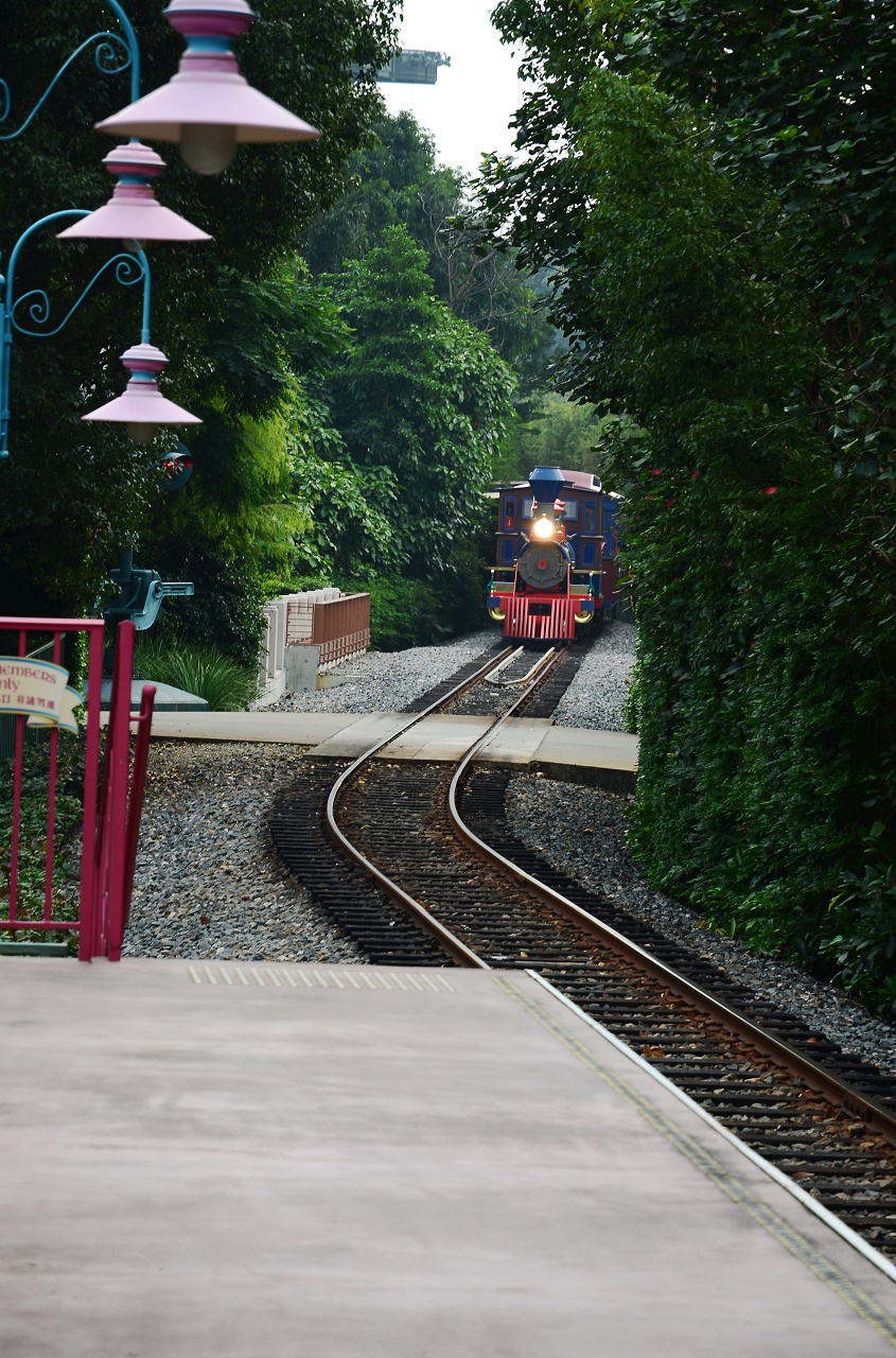 DSC_2346.jpg