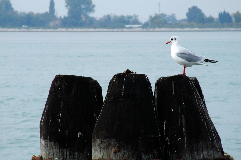 DSCF3098.jpg