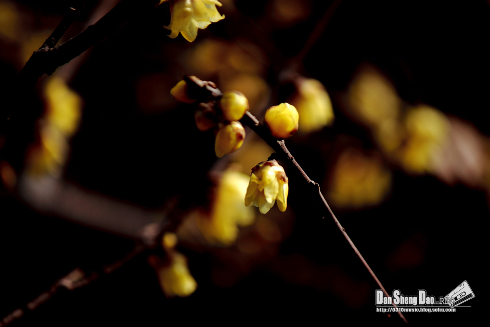 2013-03-02-2.jpg