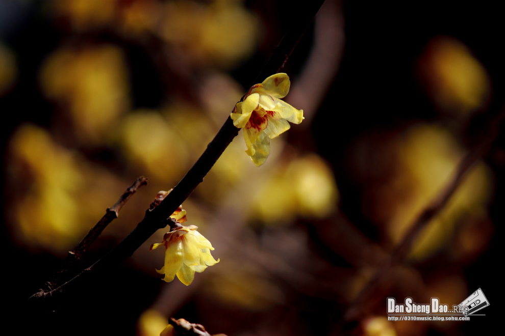 2013-03-02-3.jpg