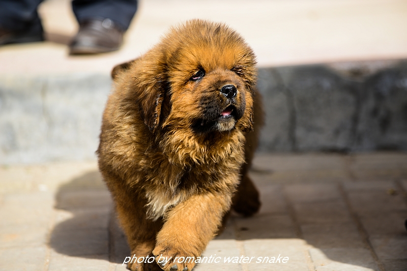 DSC_2078.jpg