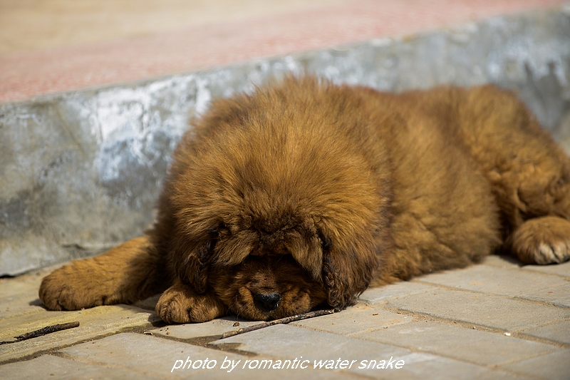 DSC_2143.jpg