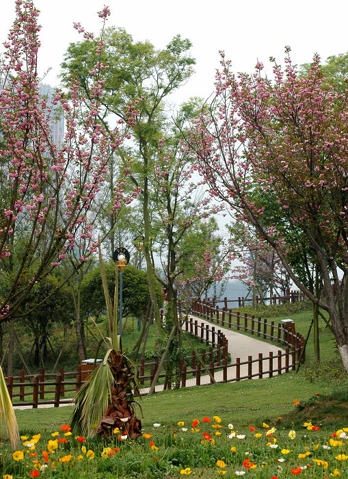 DSC_8560mx.jpg