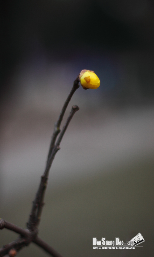 2013-03-05-27.jpg