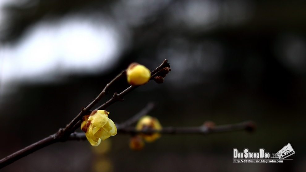 2013-03-05-1.jpg