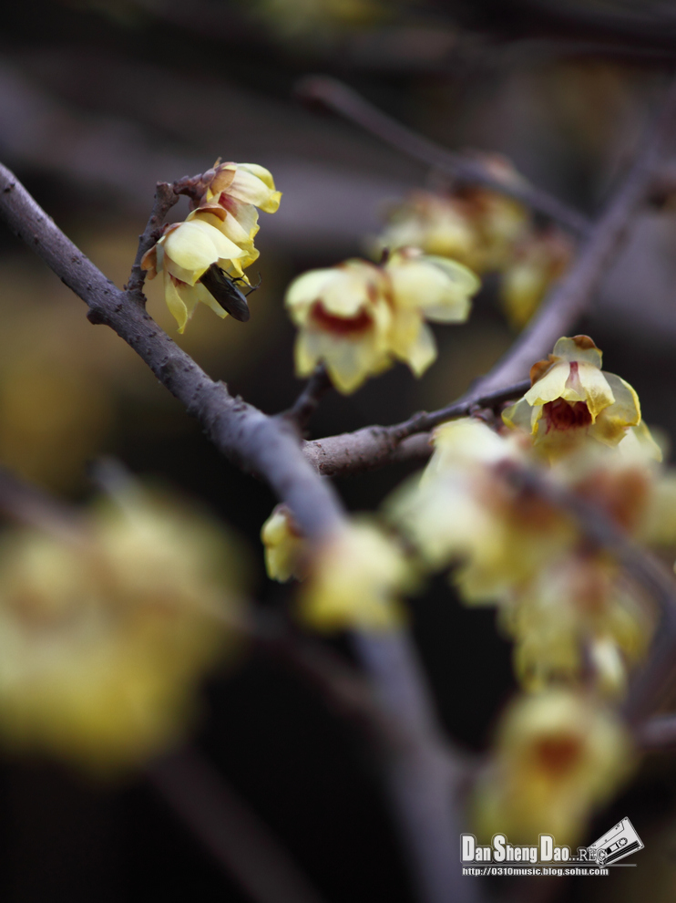 2013-03-05-14.jpg