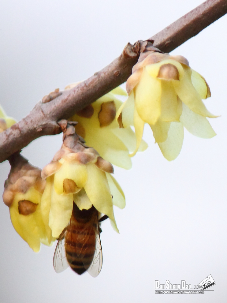 2013-03-05-16.jpg