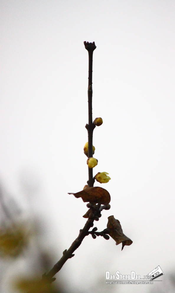 2013-03-05-17.jpg