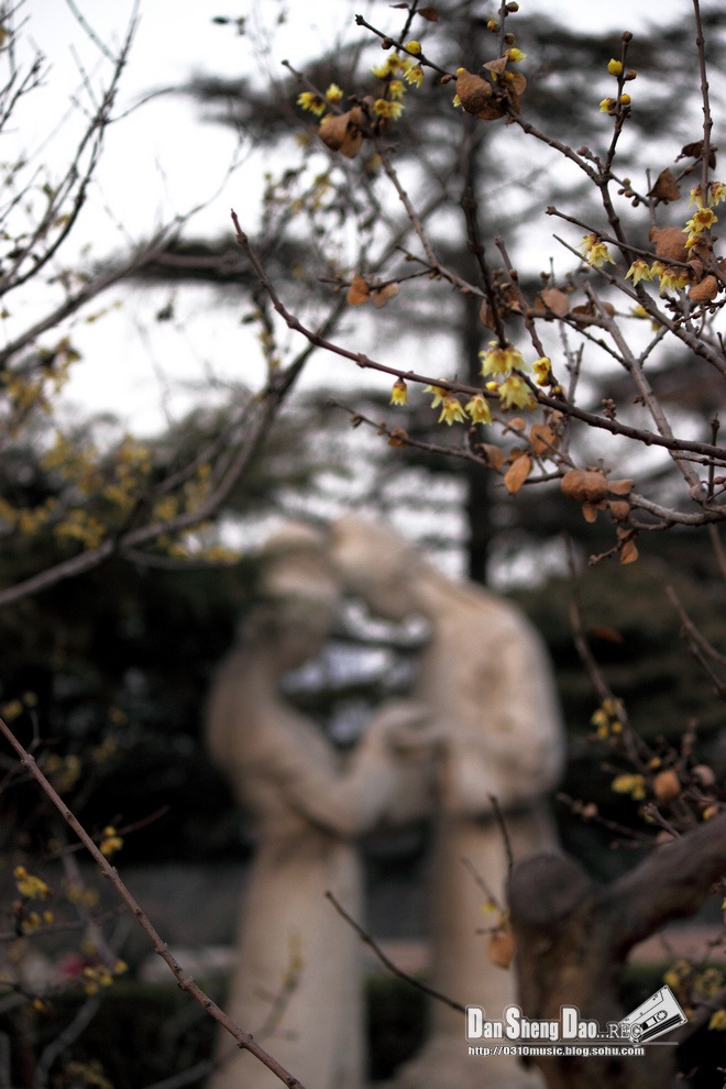 2013-03-05-23.jpg