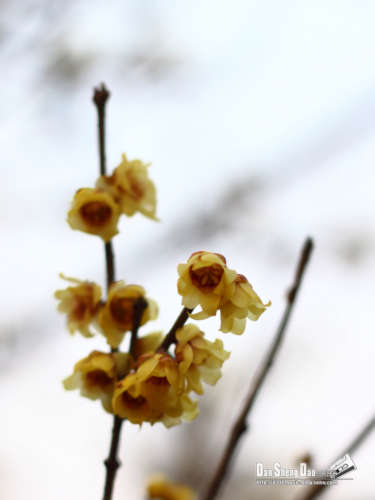2013-03-05-24.jpg