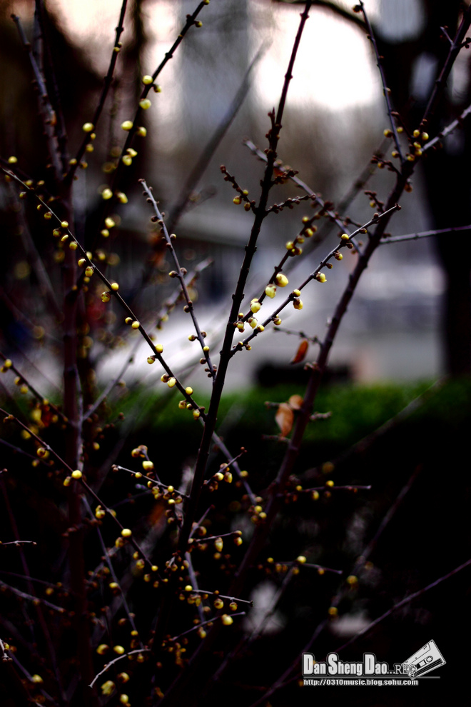 2013-03-05-25.jpg