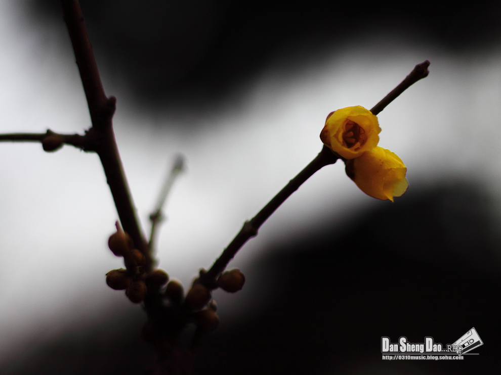 2013-03-05-26.jpg