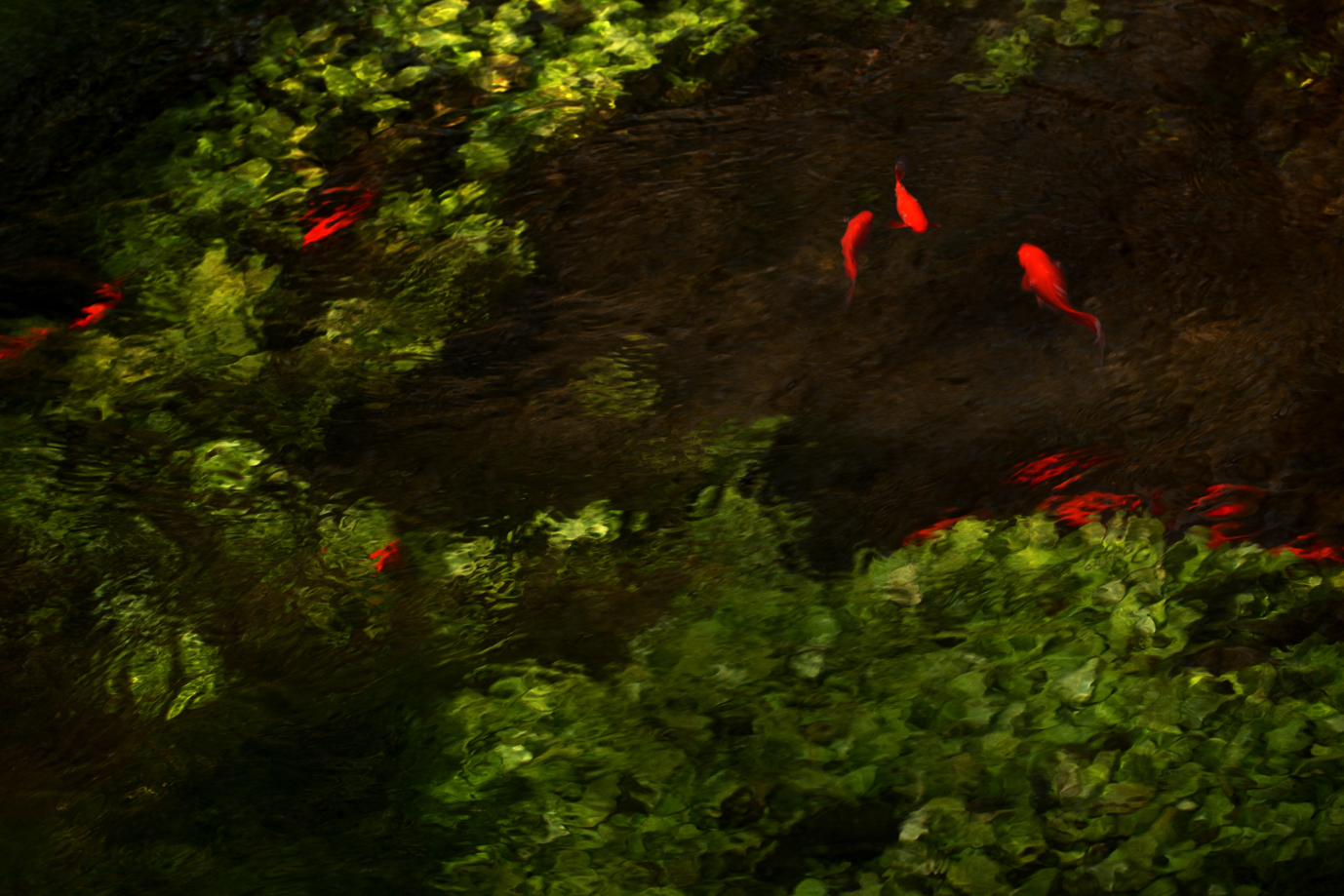 ȻԵ-0070hh.jpg