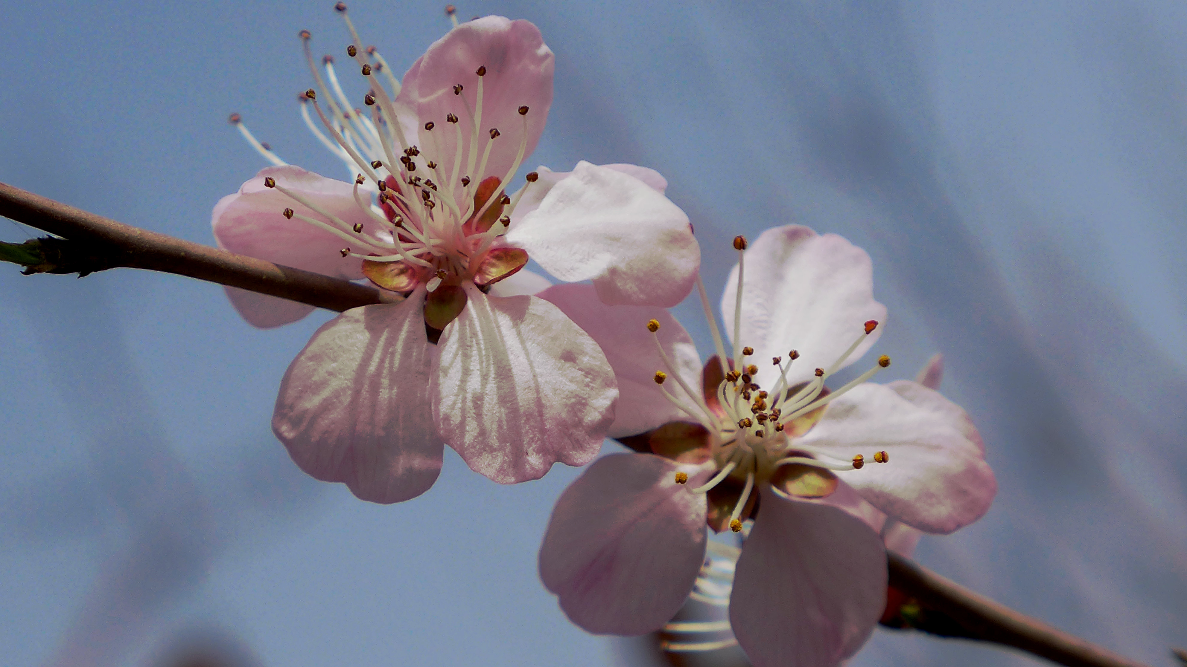 L1030160_.JPG