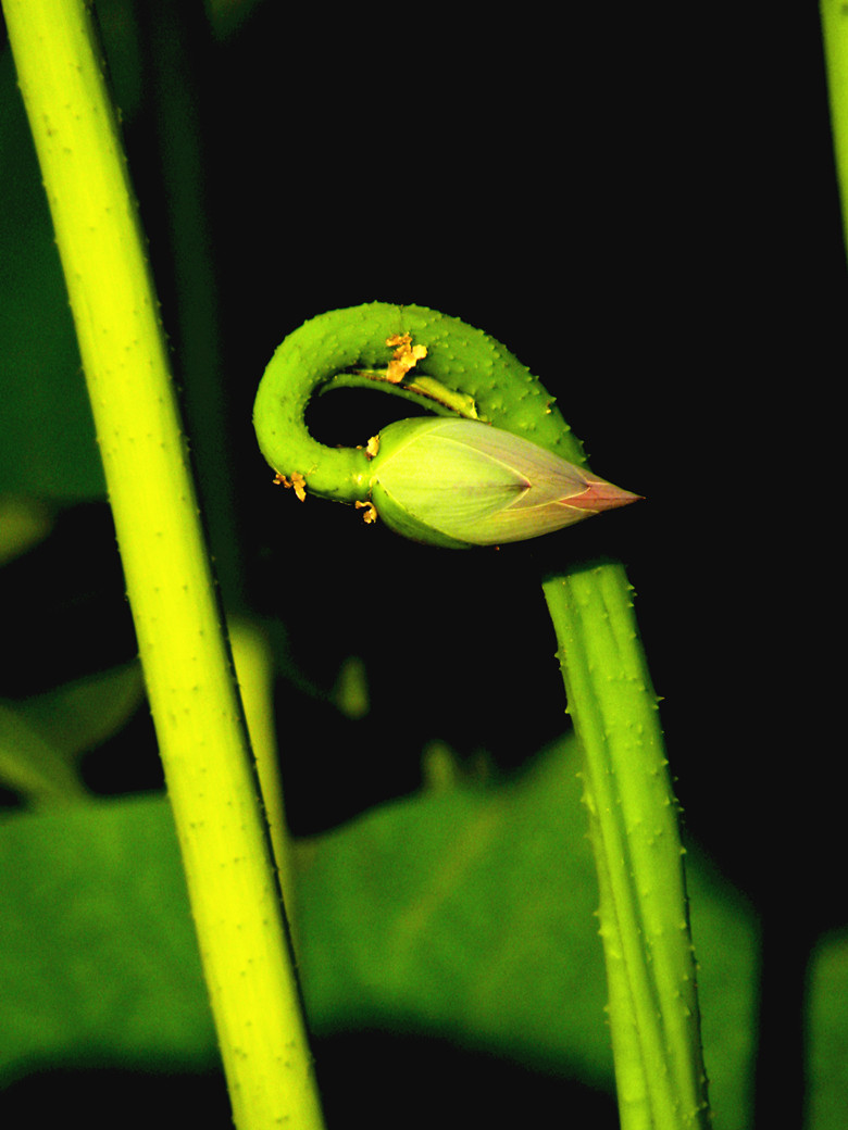 DSCN5437_.jpg