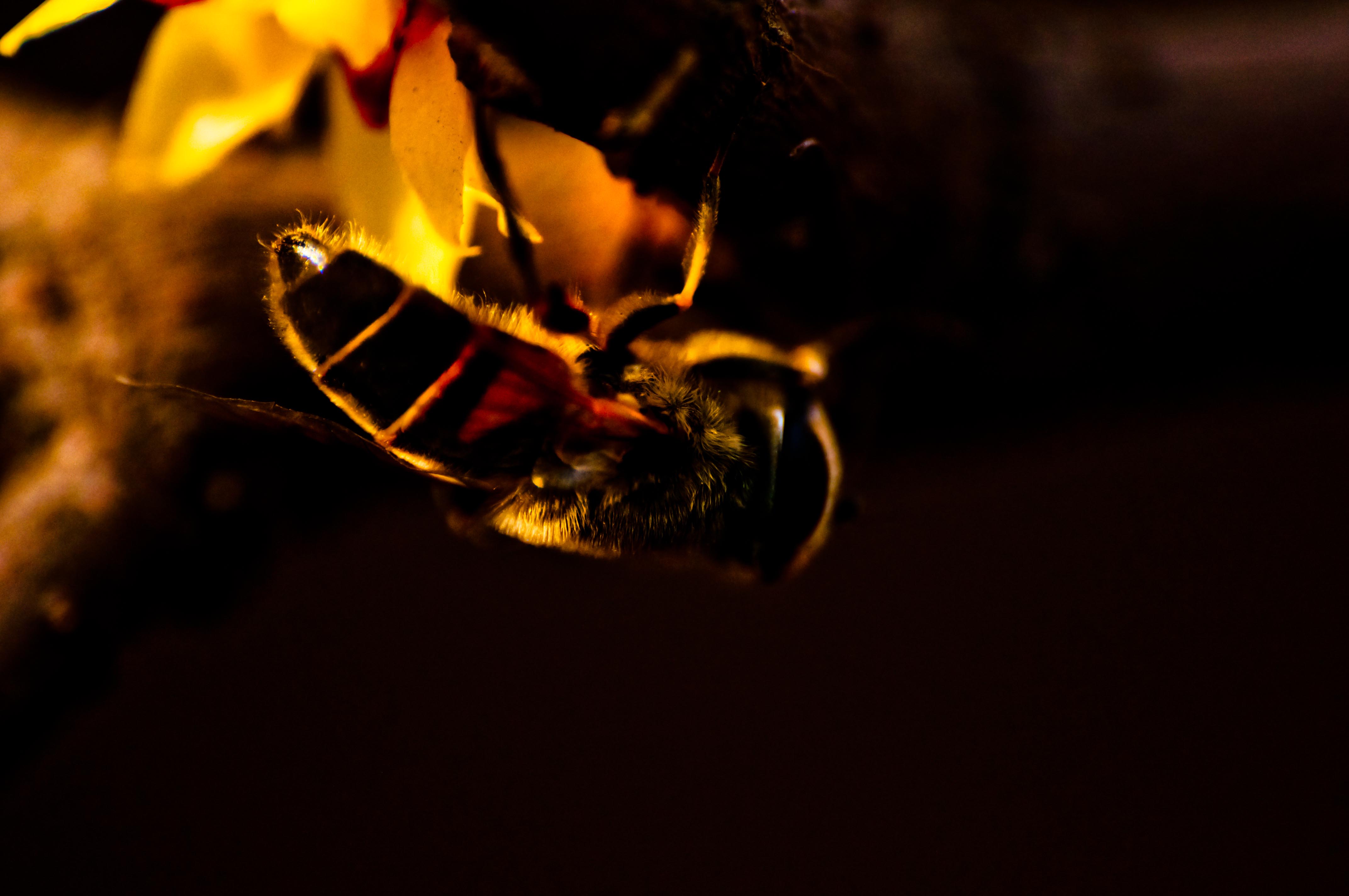 DSC_1562.jpg
