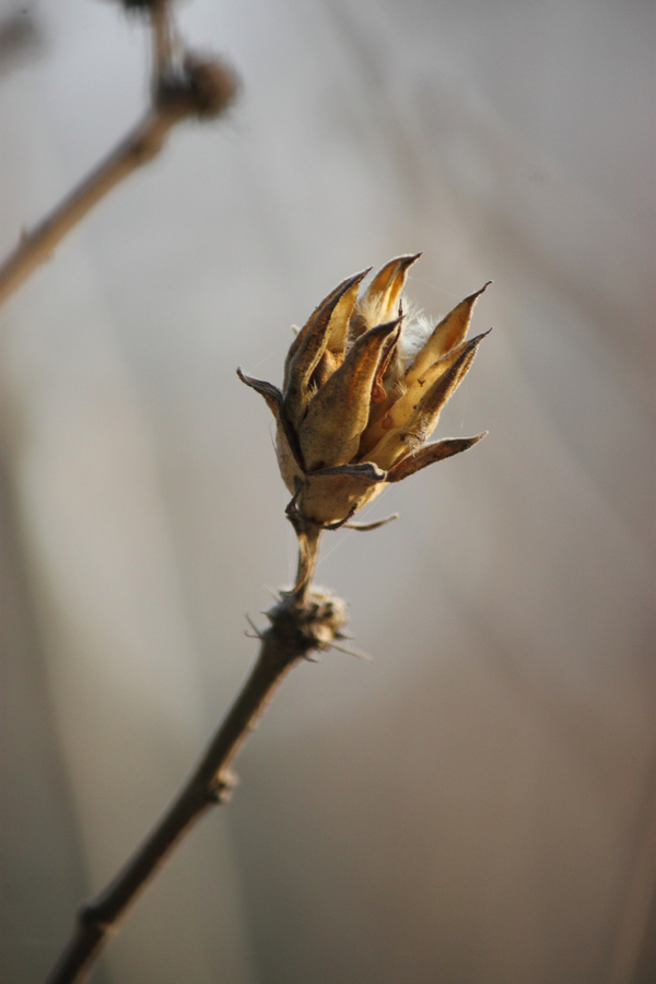 2013-03-08-59.jpg