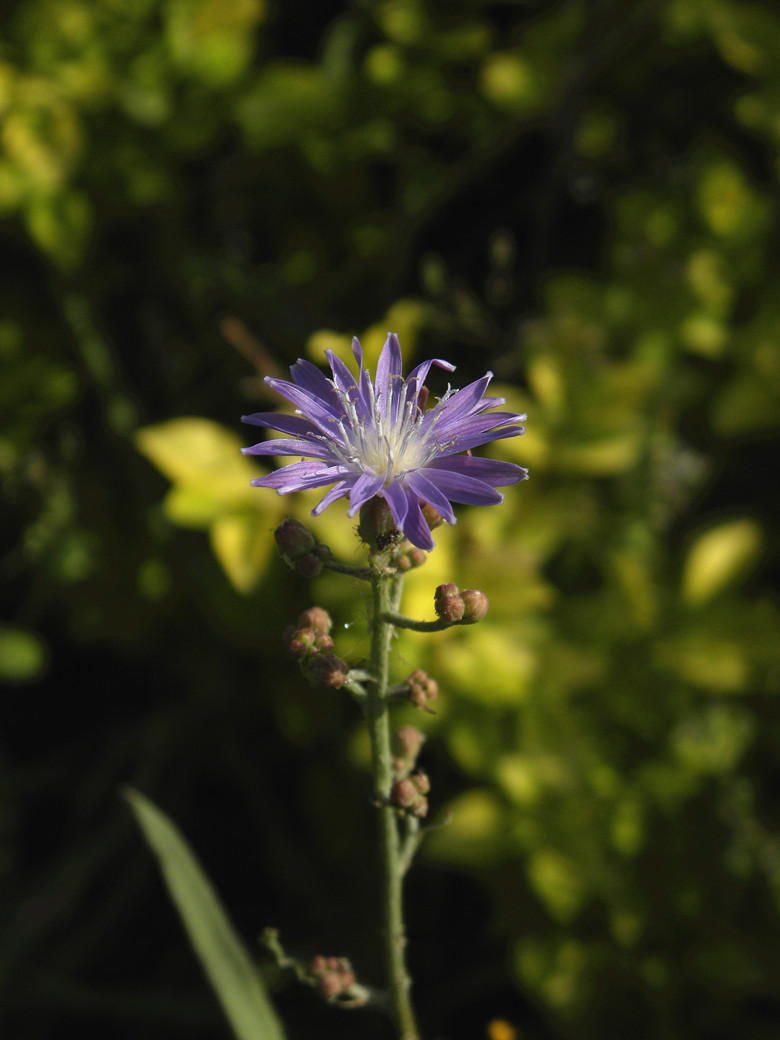 DSCN5409_.jpg